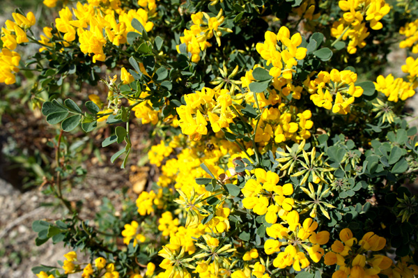 Les jardins de Payan